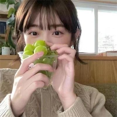 戴洛奇小镇第一季